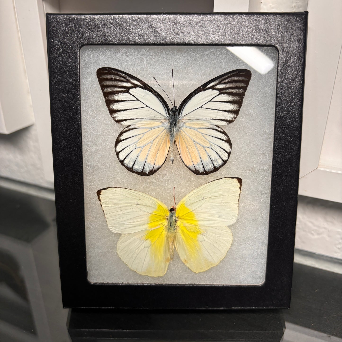 Real Framed Double Butterfly